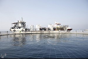 زمینه سرمایه‌گذاری برای تولید محصولات شورورز دریایی در استان بوشهر فراهم است