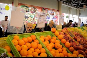 ۵۲۰ تن پرتقال و سیب شب عید مردم استان بوشهر ذخیره شد