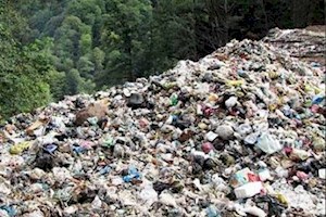 پارک جنگلی شهر دیر گورستان زباله ها