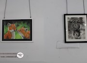   نمایشگاه نقاشی الهه کمالی در برازجلان افتتاح شد + تصاویر