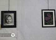   نمایشگاه نقاشی الهه کمالی در برازجلان افتتاح شد + تصاویر