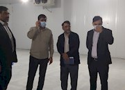   سردخانه ۵۰۰ تنی در چاه خانی دشتستان افتتاح شد+ تصاویر