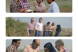 بازدید اعضای کارگروه رفع تداخلات اراضی زراعی و ملی در روستاهای دشتستان
