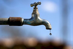 دل خون «بیدخون» از بی آبی