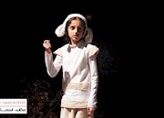   گزارش تصویری/ شب پنجم نمایش موزیکال « موش دم بریده» در برازجان 