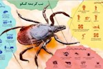بوشهر در تیررس تب کریمه کنگو