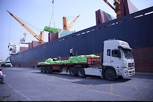 تخلیه سومین کشتی تجاری بزرگ برنج هندی در بندر بوشهر
