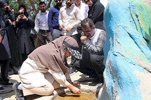 بهسازی محیط، بهترین راهکار مقابله با پشه آئدس‌