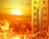 دمای هوا در استان بوشهر به ۵۰ درجه رسید