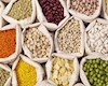 کدام خوراکی‌ها در خرداد ماه گران شدند؟