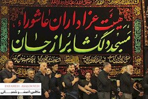 گزارش تصویری/ عزاداری شب هفتم محرم « مسجد دلگشا برازجان»