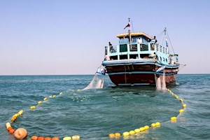 فصل صید میگو و نگرانی ساحل‌نشینان؛ معیشت صیادان در گرو ذخایر دریا