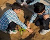 ۵۰۰۰ اصله درخت در عالی‌شهر کاشته شد