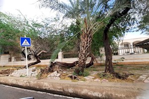 بحرانهای پس از باران بوشهر