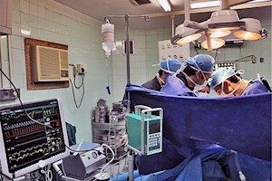 بوشهری‌ها در صدر ایثار؛ نجات 600 بیمار با اهدای عضو در استان بوشهر