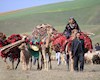 مدیرکل تعاون بوشهر: روستاییان و عشایر از یارانه ۱۵۰ میلیون ریالی برخوردار شدند