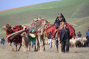 مدیرکل تعاون بوشهر: روستاییان و عشایر از یارانه ۱۵۰ میلیون ریالی برخوردار شدند