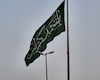 پرچم سبز علوی در ساحل خلیج فارس به اهتزاز درآمد
