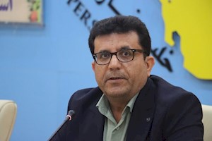پروانه: ۳۰ میلیارد تومان تسهیلات مشاغل خانگی در دشتی جذب شد