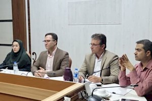 فرماندار تنگستان: عبور از پیک مصرف انرژی نیازمند همکاری همگانی کنند