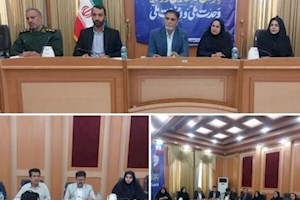 فرماندار دشتستان: ادارات در اجرای قانون جوانی جمعیت اهتمام ورزند
