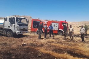آتش‌سوزی مراتع پشت‌پر دشتستان مهار شد