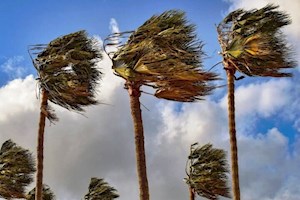 تداوم وزش باد در استان بوشهر؛ دریا مواج است