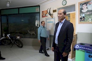 فرماندار دشتی: صرفه‌جویی در مصرف انرژی ضروری است