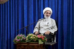 صفایی بوشهری: ظرفیت های استان بوشهر مغفول مانده است