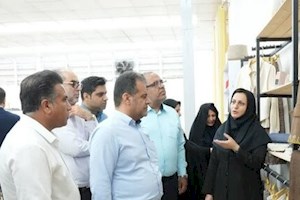 ۹۴ درصد پروانه‌های صنایع‌دستی صادرشده در بوشهر مربوط به بانوان است