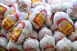 ۱۱ تن مرغ دولتی برای تنظیم بازار در شهرستان عسلویه توزیع شد