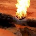 وقتی هماهنگی شهرداری  فراموش می‌شود؛