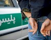 سارق سابقه‌دار در شهرستان جم دستگیر شد