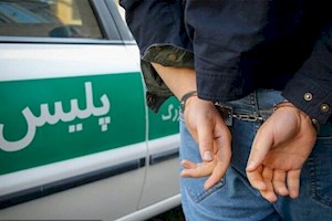 سارق سابقه‌دار در شهرستان جم دستگیر شد
