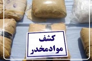 ۲۲ کیلو تریاک در عملیات پلیس بوشهر کشف شد
