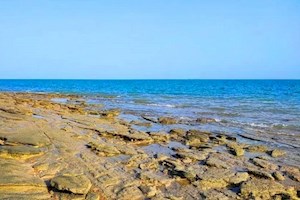 سواحل جنوبی بوشهر تا اواخر امشب مواج است؛ افزایش شرجی در روزهای آینده