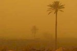 اقتصاد زیر غبار ، ریزگردها چگونه بازار خرما و مرکبات بوشهر را تهدید می‌کنند؟