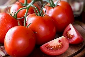 کشاورزان استان بوشهر برای محصولات خود کد شناسه بگیرند
