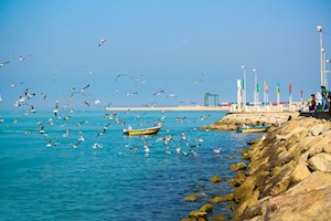سواحل بوشهر تا پایان هفته مواج است