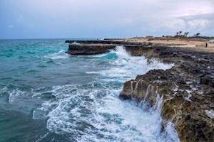 سواحل استان بوشهر تا شنبه متلاطم است