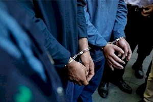 سارقان سیم برق در کنگان دستگیر شدند؛ کشف ۲۴فقره سرقت