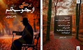 مجموعه شعر «برگی از جنوب تنم» منتشر شد