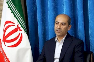 فرماندار دشتی: شورای نگهبان نقشی اثرگذار در روند انتخابات دارد
