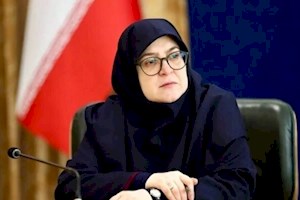سخنگوی دولت: بازسازی مناطق آسیب‌دیده بوشهر با جدیت دنبال می‌شود