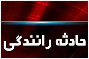 تصادف در جاده کاکی به خورموج ۲ مصدوم داشت