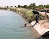 مدیرعامل آب بوشهر: شهروندان به هشدارهای ممنوعیت شنا در سدها توجه کنند