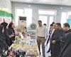 معاون فرماندار دیلم: مهارت‌آموزی زمینه‌ساز اشتغال جوانان است
