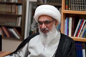 آیت‌الله صفایی بوشهری: بوشهر به هاب تخصصی تجارت کشور تبدیل شود