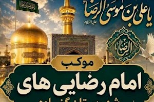 برپایی موکب امام‌رضایی‌های گناوه همزمان با دهه آخر صفر در مشهد مقدس