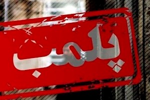 ۱۳ واحد صنفی متخلف در بوشهر پلمب شد